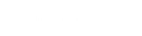 Socio estratégico